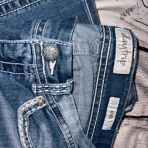 Daytrip Women's Blue Jeans